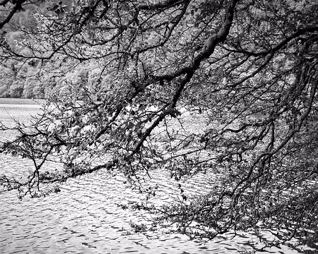 20200803-12h47m47s-DSC03782-V3