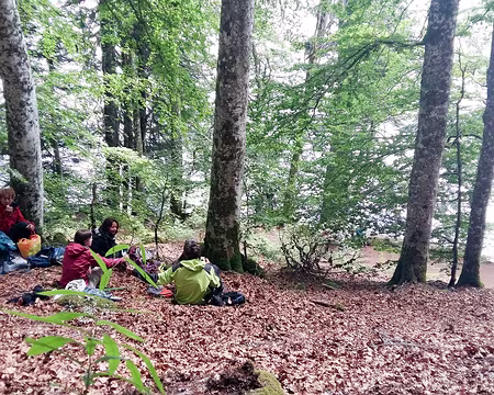 20200803-13h13m42s-20200803_131343-V3