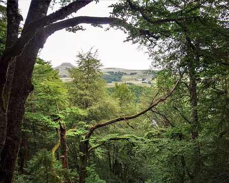 20200803-13h47m00s-DSC03790-V3