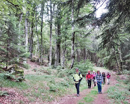 20200803-13h52m54s-DSC03794-V3