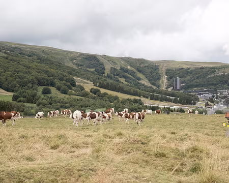 20200803-14h02m08s-XLA00880-V3 Super Besse