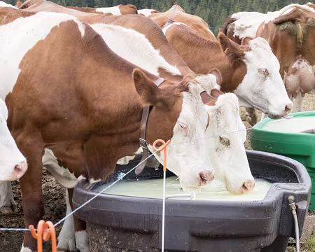 20200803-14h02m20s-XLA00881-V3