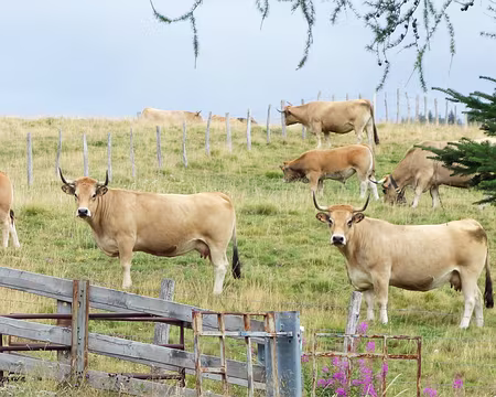 20200803-14h34m17s-DSC03798-V3