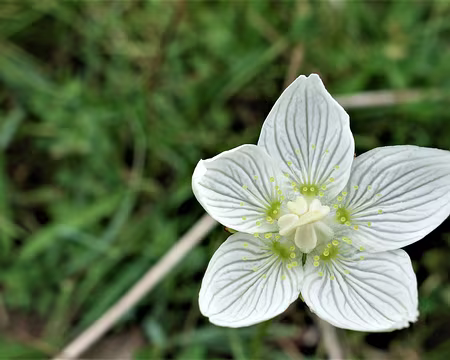 20200803-14h41m29s-DSC03800-V3