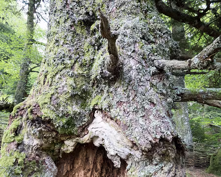 20200803-16h48m04s-XLA00886-V3