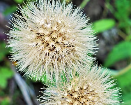 20200803-17h49m19s-DSC03821-V3