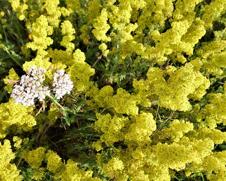 20200803-18h15m46s-DSC03829-V3