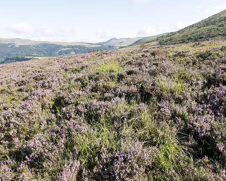 20200804-08h56m53s-XLA00920-V3