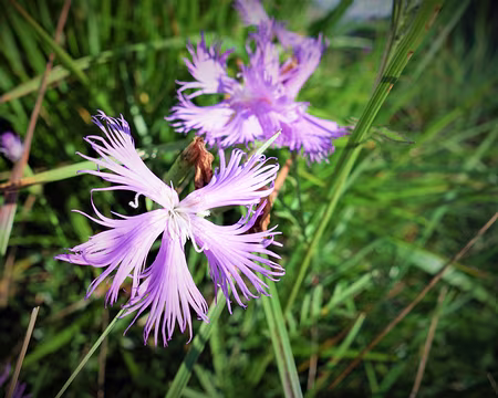 20200804-09h43m34s-DSC03845-V3