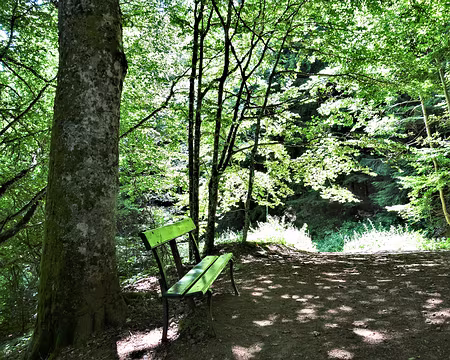 20200804-11h47m46s-DSC03874-V3