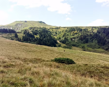 20200804-12h37m20s-20200804_123721-V3