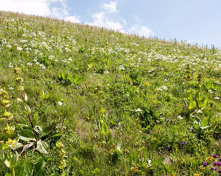 20200804-13h53m01s-XLA00938-V3