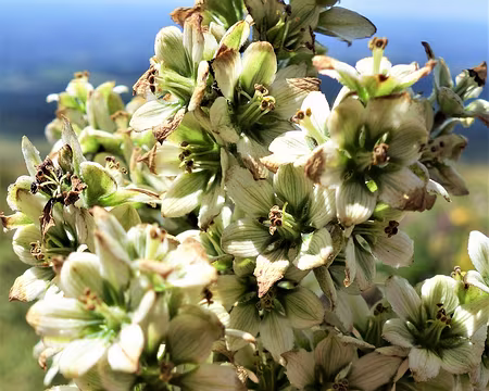 20200804-14h48m37s-DSC03882-V3