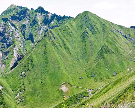 20200804-14h50m25s-DSC03887-V3