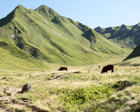 20200804-16h41m43s-XLA00981-V3