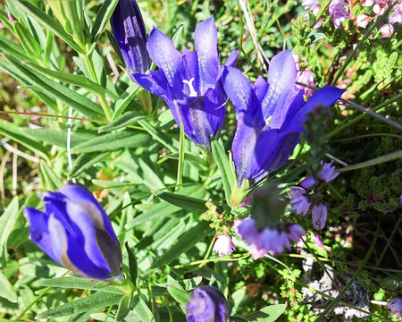 20200805-11h23m19s-DSC03907-V3