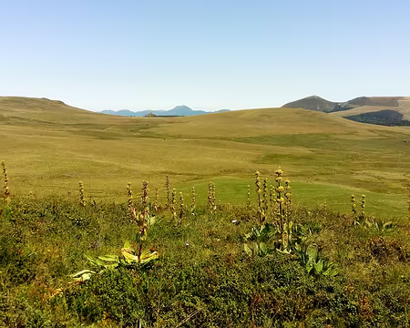 20200806-11h18m52s-20200806_111851-V3