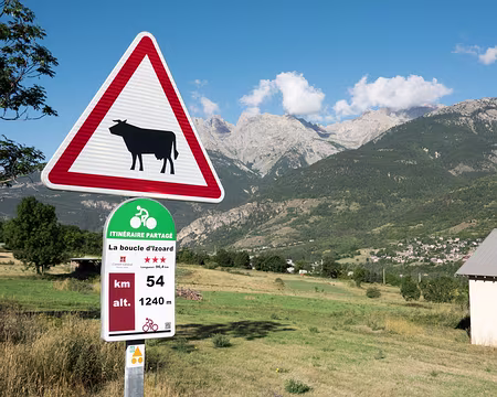 20200815-08h17m36s-XLA01042-V3 Choisir son rythme