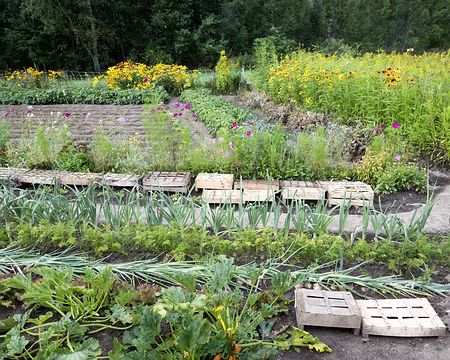 20200816-06h55m34s-XLA01066-V3