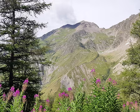 20200818-11h32m18s-20200818_113218-V3