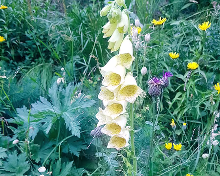 20200819-09h05m28s-20200819_090528-V3