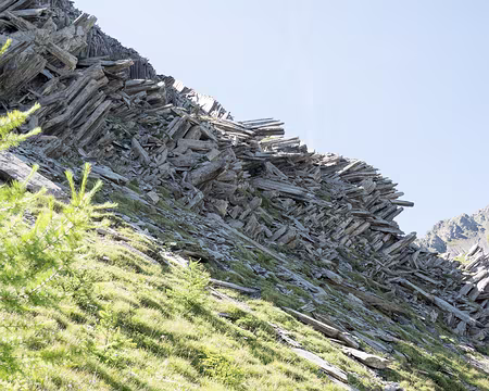 20200819-10h27m51s-XLA01273-V3 Mikado