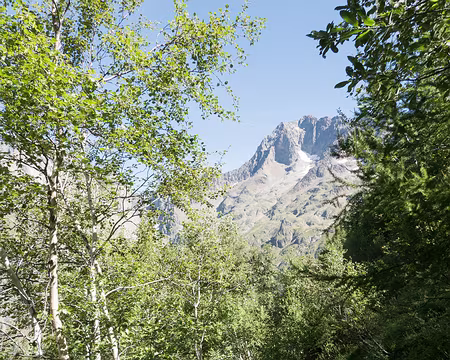 20200819-10h42m20s-XLA01278-V3 Descente verte