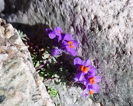 20200820-11h22m32s-20200820_112232-V3