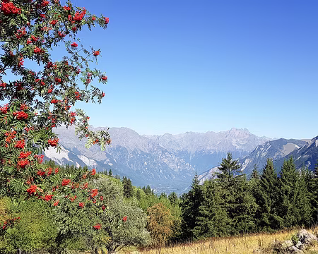 20200821-10h32m10s-20200821_103211-V3