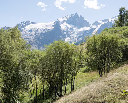 20200822-12h26m13s-XLA01413-V3