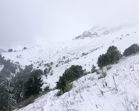 20200926-11h34m18s-IMG_2168-V3