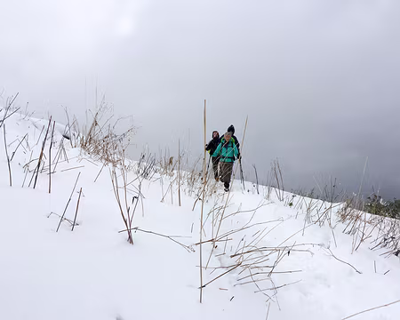 20200926-11h35m10s-IMG_2177-V3