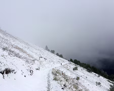 20200926-12h03m04s-IMG_2194-V3