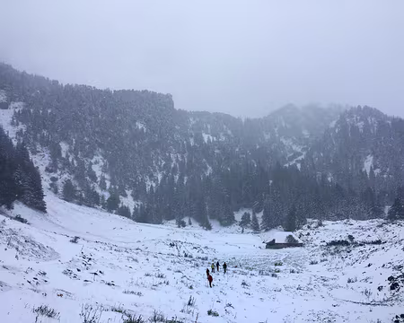 20200926-13h21m57s-IMG_2241-V3