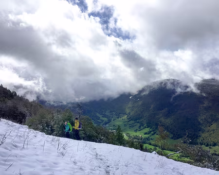 20200926-13h51m35s-IMG_2252-V3