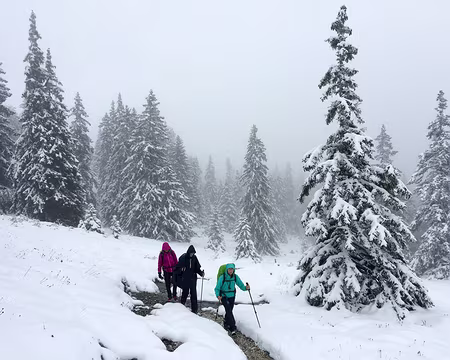 20200927-11h09m23s-IMG_2292-V3