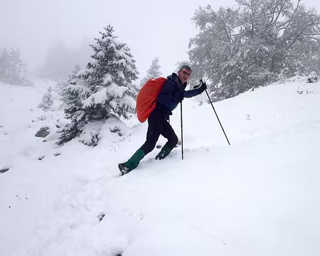 20200927-11h10m12s-IMG_2294-V3