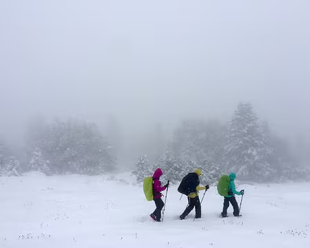 20200927-11h24m52s-IMG_2310-V3