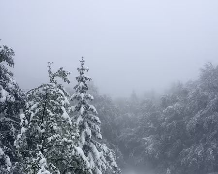 20200927-11h39m02s-IMG_2316-V3