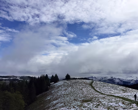 20200928-10h08m52s-FullSizeRender-V3