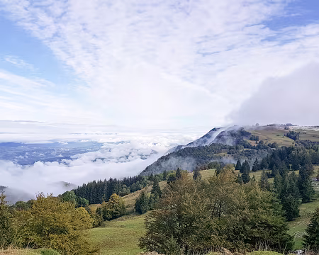 20200928-10h08m57s-20200928_100857-V3