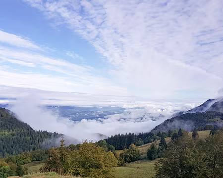 20200928-10h08m58s-20200928_100858-V3