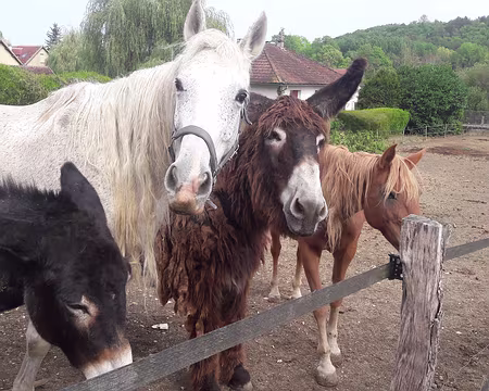 20200920_0028 et compagnie