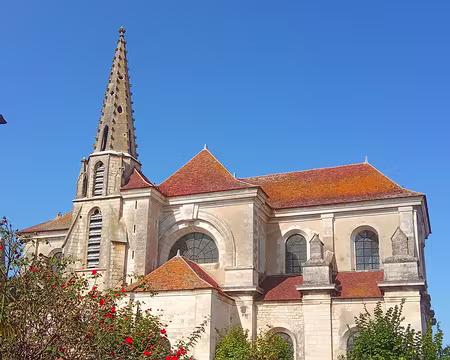 20200921_0048 Coulanges-la-Vineuse