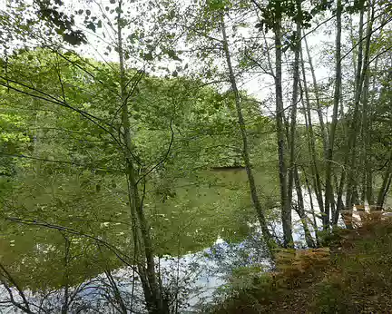001 L’étang du Val près de Saint-Just (Ille-et-Vilaine)