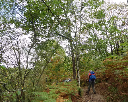 002 Sur le chemin du Val