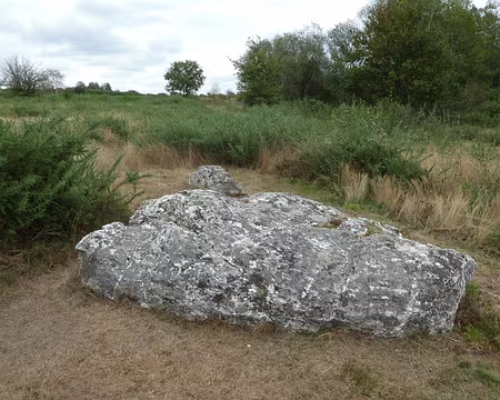 007 La troisième « demoiselle »