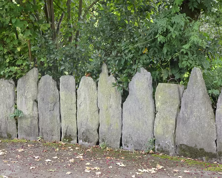010 Mur de clôture formé de dalles de schiste