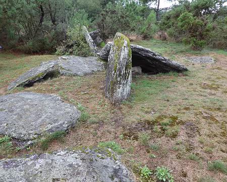 012 La « Pièce couverte » (Monteneuf, Morbihan) est une allée couverte en schiste. Présence de cupules sur les dalles
