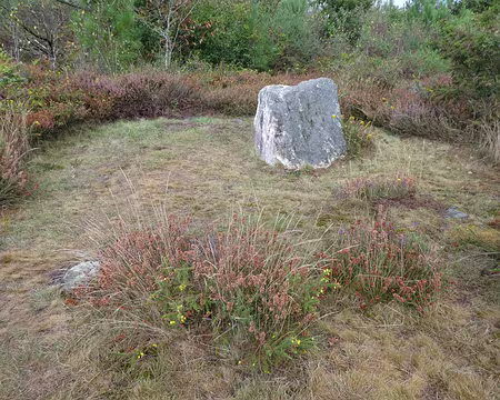 013 La « Roche blanche », bloc de quartzite inclus dans un tertre entouré de dalles de schiste